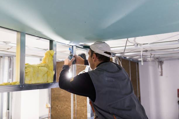 Best Cellulose Insulation in Victoria, KS