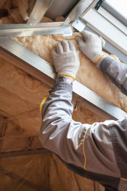 Best Residential Insulation in Victoria, KS